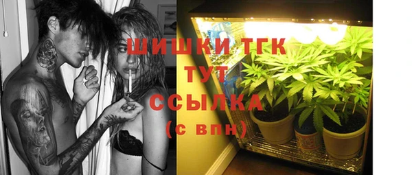 не бодяженный Новозыбков