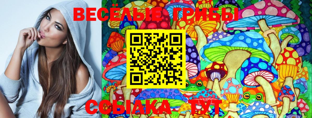 Псилоцибиновые грибы GOLDEN TEACHER Ленинск-Кузнецкий
